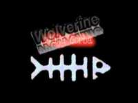 pochette album Kopriva