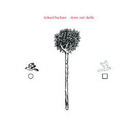 pochette album A chance counsel