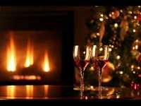 pochette album You'll never be alone