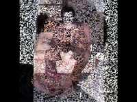 pochette album Stop breaking your heart