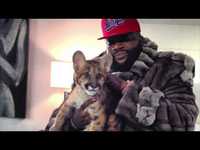 pochette album Oyster perpetual