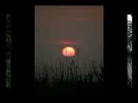 pochette album Archangel