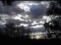 pochette album Love without you