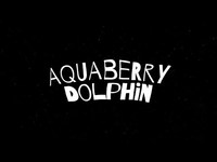 pochette album Aquaberry dolphin