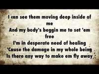 pochette album Black butterflies