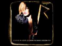 pochette album Stupid in love (chew fu small room fix)