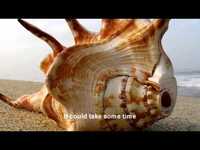 pochette album Remembered well