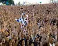 pochette album We will rock you