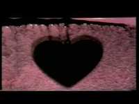 pochette album Jean the birdman