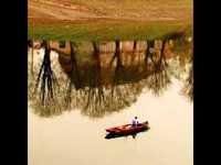 pochette album Honeymoon