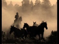 pochette album All the king's horses