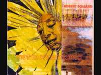 pochette album Release the sunbird