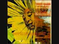 pochette album The ash grey proclamation