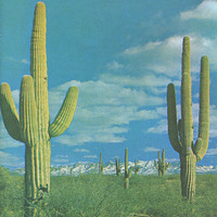 pochette album A+ in arson class