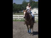 pochette album I love a rodeo