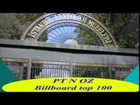 pochette album The fool