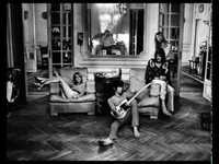 pochette album Stray cat blues