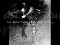 pochette album Lloré