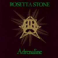 pochette album Subterfuge