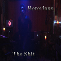 pochette album The shit