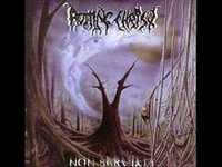 pochette album Saturn unlock avey's son