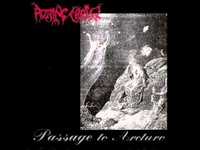 pochette album The forest of n'gai