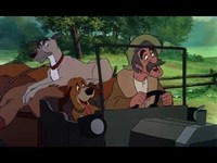 pochette album Chasseur avant tout