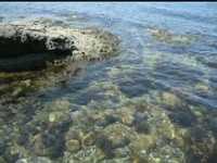 pochette album Voices