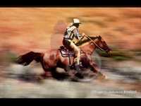 pochette album El paso