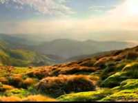 pochette album In time