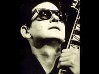 pochette album Sugar man