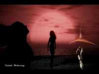 pochette album Tears