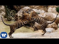 pochette album Right here