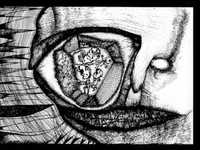 pochette album The curse