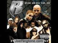 pochette album Ruff ryders all-star freestyle