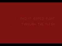 pochette album The origin of love