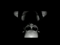 pochette album Tonight