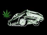 pochette album Dumb girl