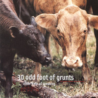 pochette album Inside her eyes