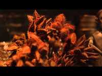 pochette album Too long here