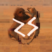 pochette album Impossible