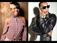 pochette album Shake twist drop