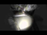 pochette album Who killed love