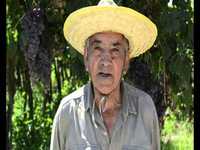 pochette album Natural