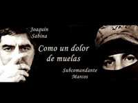 pochette album Como un dolor de muelas