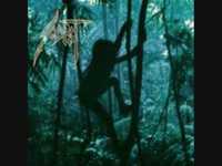 pochette album Den siste kamp