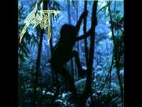 pochette album Escogido