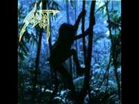 pochette album The reign of asmat