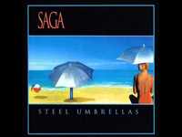 pochette album Feed the fire