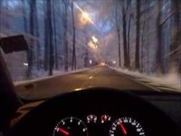 pochette album Shake that tree